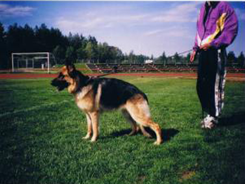FIN11234/99, syntynyt 10.12.1998
